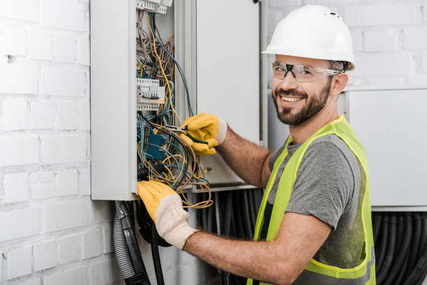 Best Electric Panel Repair  in Flora, IL